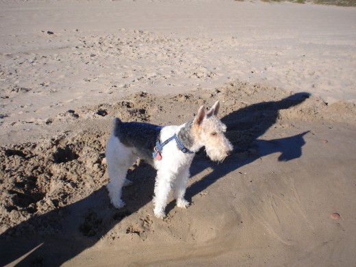 lucas en valencia ,en la playita